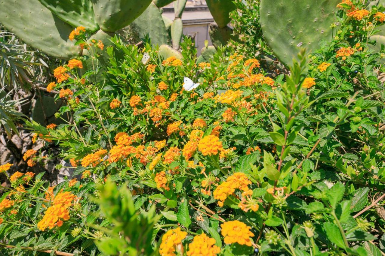 Trigona Garden Suite 노토 외부 사진